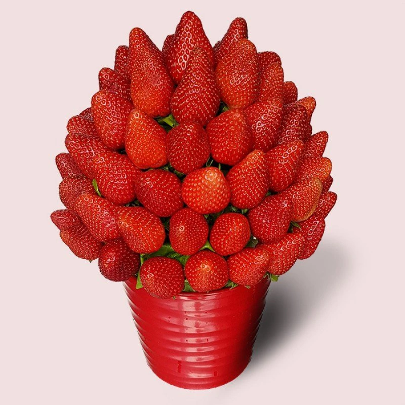 Çilek -Çiçek