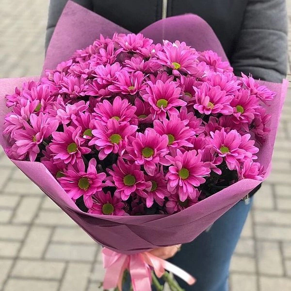 Pembe Kasımpatı