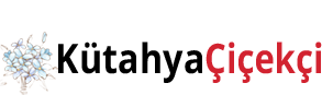 Çiçekçim Organizasyon