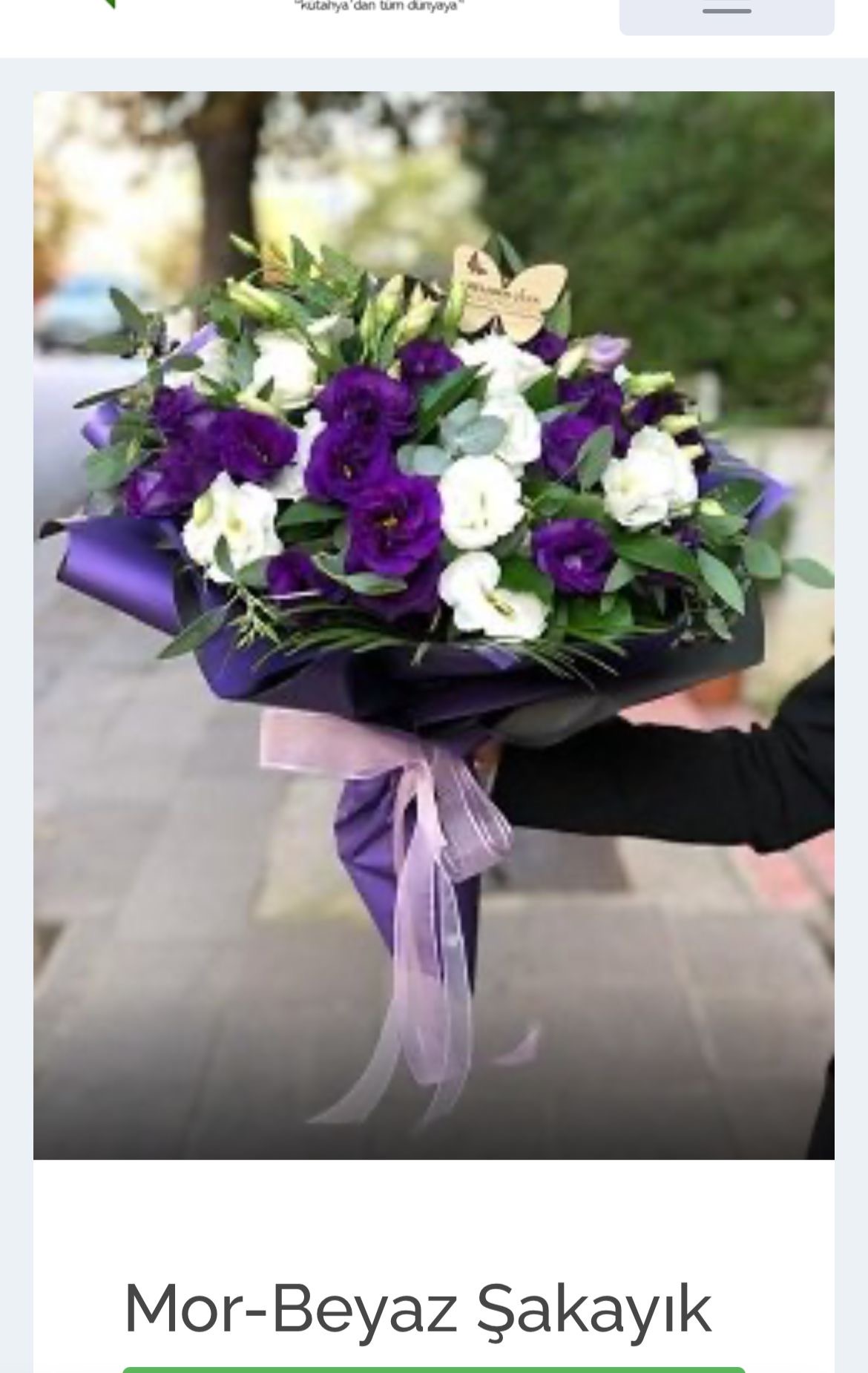 Lisiyantus Mor-Beyaz