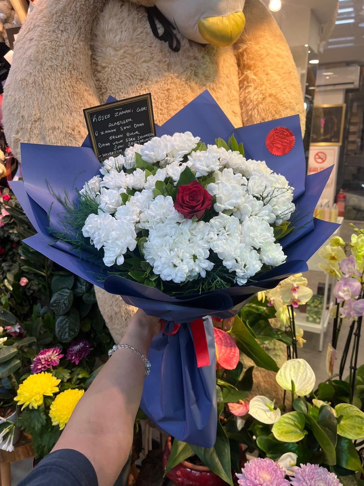 Taze Özel Kır Papatyaları