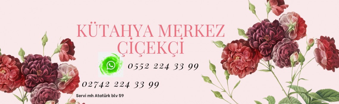 Kütahya Sadece Merkezde